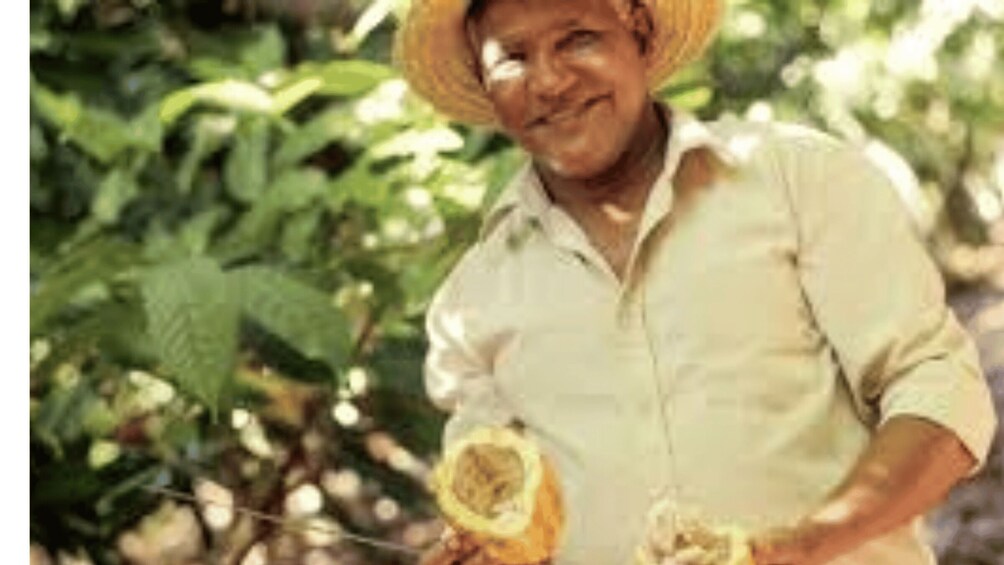 Picture 4 for Activity Private: Dominican Cacao with Lunch & Chocolate Tasting 2
