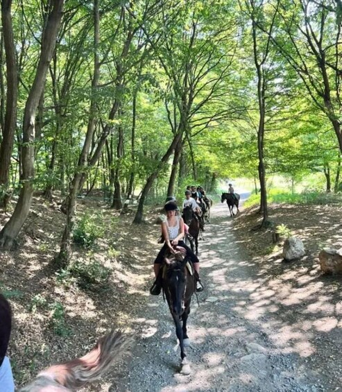 Picture 5 for Activity Bergamo: Horseback Riding in the Countryside with an Equestrian Guide 4