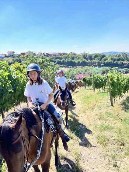Picture 1 for Activity Bergamo: Horseback Riding in the Countryside with an Equestrian Guide 2