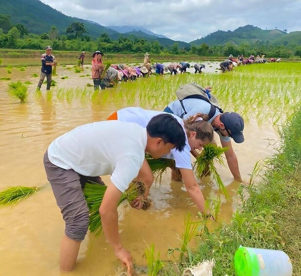 Picture 16 for Activity Vang Vieng | Unseen Na Khae Village Trip (Hmong Village) 5