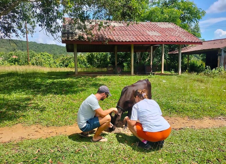 Picture 20 for Activity Vang Vieng | Unseen Na Khae Village Trip (Hmong Village) 2