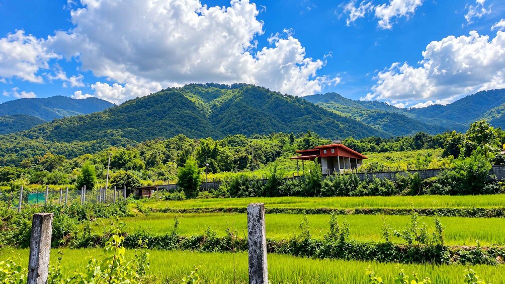 Picture 43 for Activity Vang Vieng | Unseen Na Khae Village Trip (Hmong Village) 5