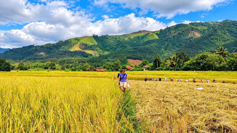 Picture 50 for Activity Vang Vieng | Unseen Na Khae Village Trip (Hmong Village) 5