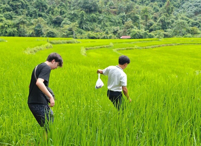 Picture 2 for Activity Vang Vieng | Unseen Na Khae Village Trip (Hmong Village) 5