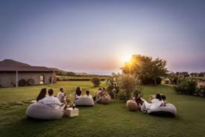 Picture 2 for Activity Sassari: Nuraghe Crabioni Wine Tasting 3