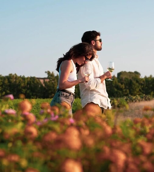 Picture 3 for Activity Sassari: Nuraghe Crabioni Wine Tasting 2