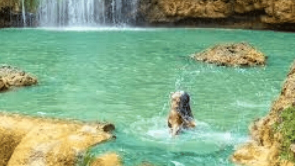 A waterfall, clear turquoise water, and rocky terrain. 3