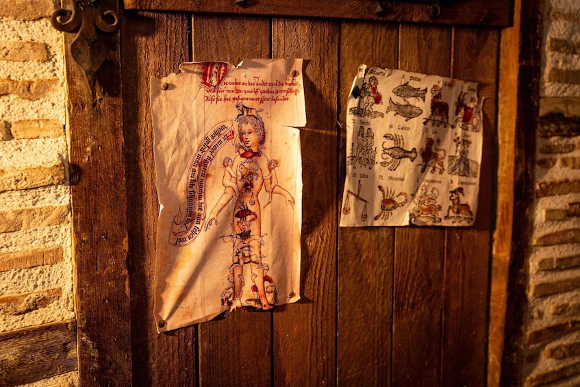 A wooden door with a poster of a skeleton and another with fish illustrations. 3