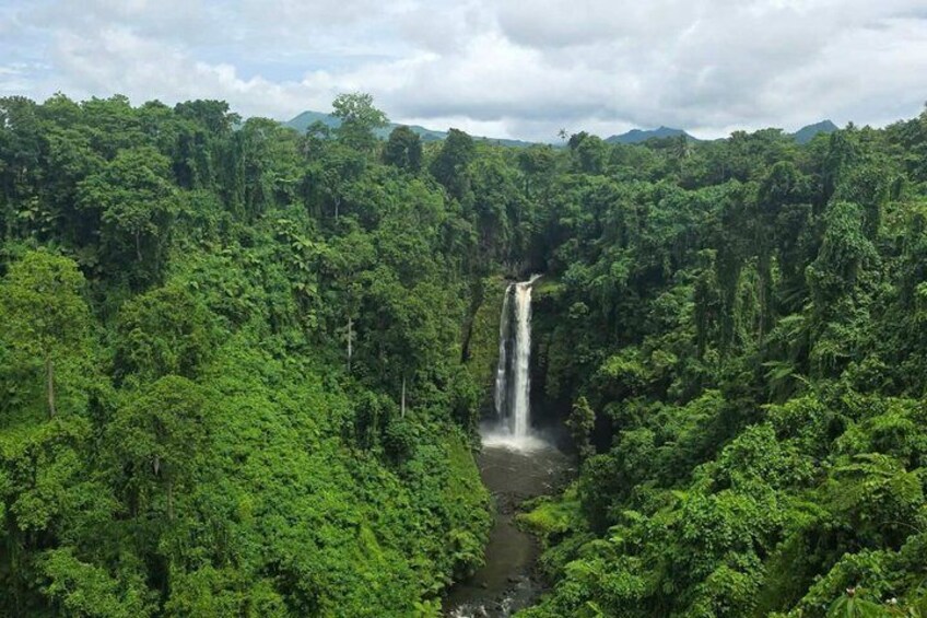 A waterfall surrounded by dense forest. 2