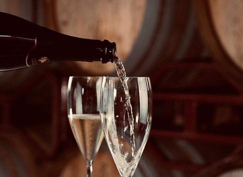 Picture 4 for Activity Melgaço: Alvarinho Sensory Tasting – ‘Aromas Unleashed’ 4