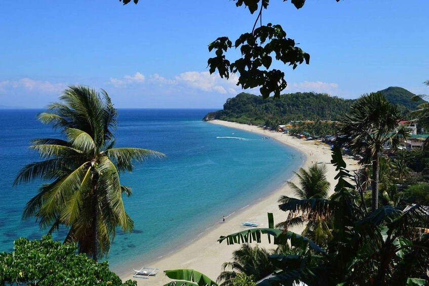 A tropical beach with clear turquoise water, palm trees, and a hilly landscape in the background. 1