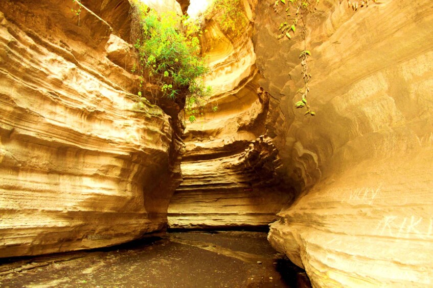 A canyon with layered rock formations and sparse vegetation. 1