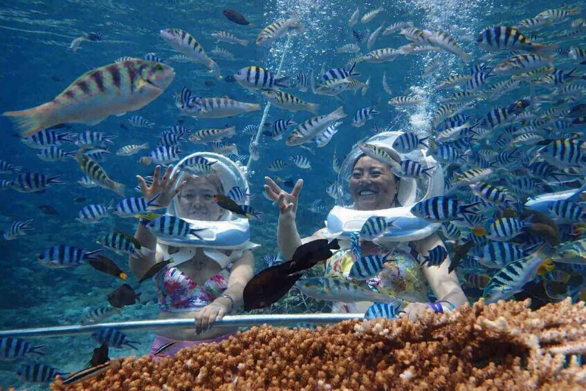 Two people in scuba gear observing a school of fish in an underwater environment. 1