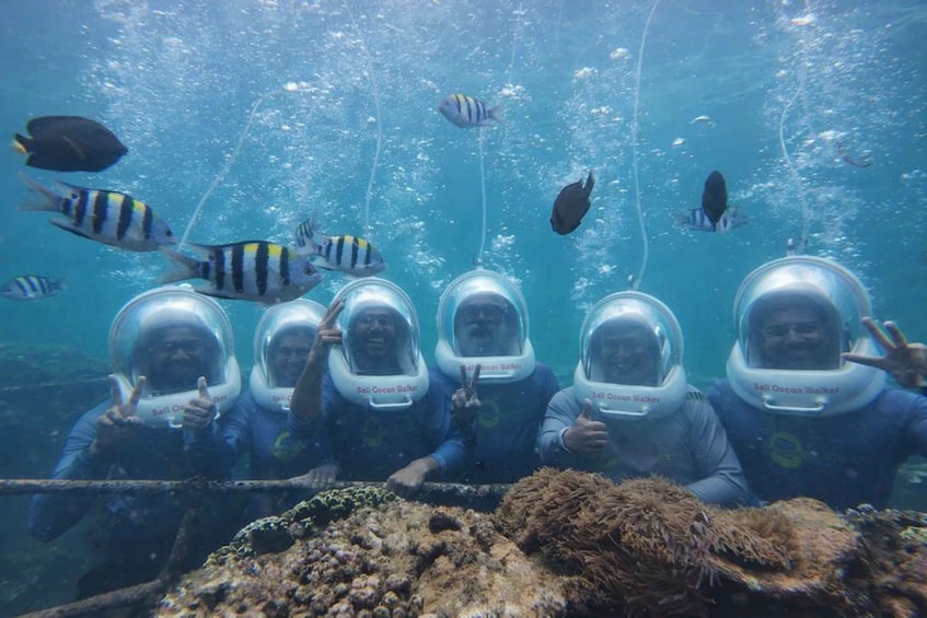 Taucher in Tauchausrüstung mit 'Ball Ocean Walker' Branding, umgeben von Meereslebewesen und Korallen. 5