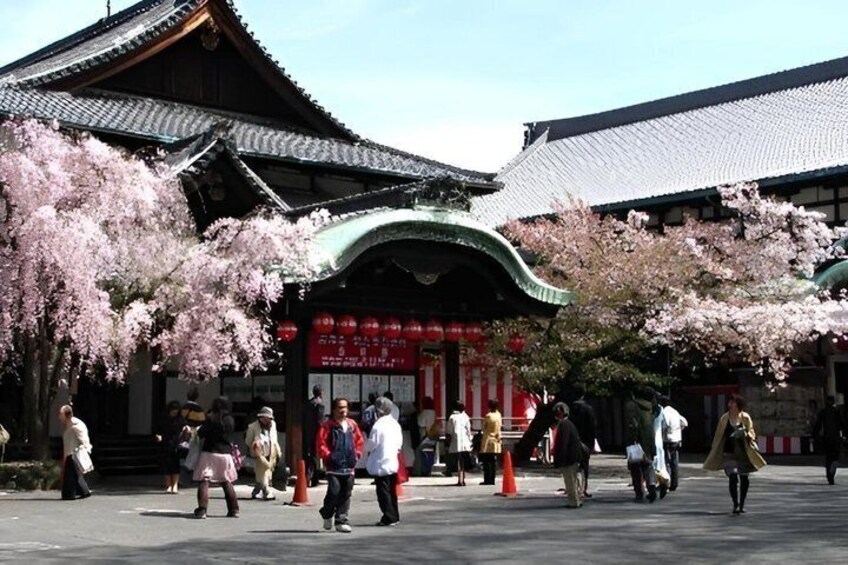 A traditional Japanese building with cherry blossoms in front. 2