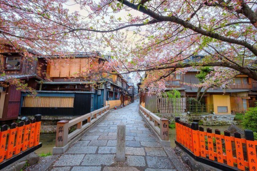 A traditional Japanese street with cherry blossoms, stone pathway, wooden houses, and orange lanterns. 1