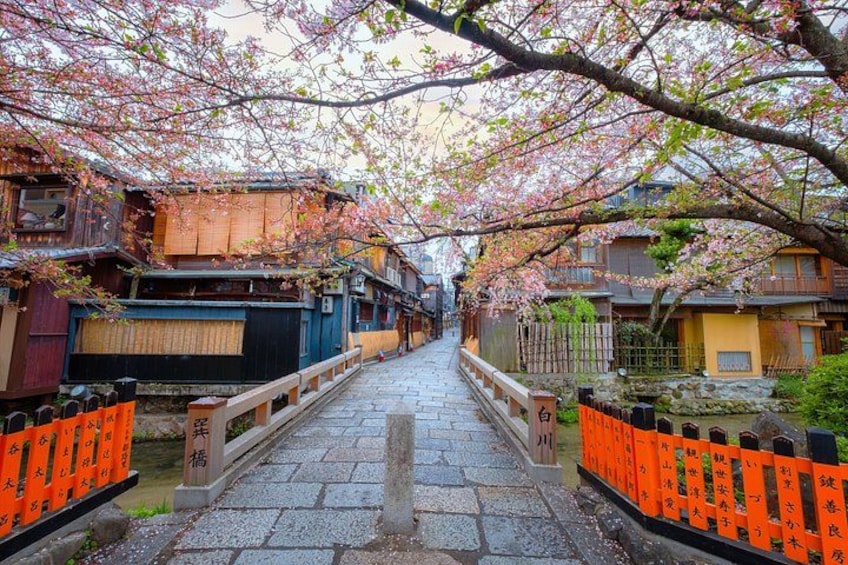 A traditional Japanese street with cherry blossoms, stone pathway, wooden houses, and orange barriers. 1