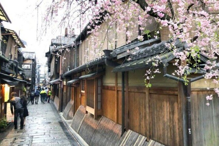 A narrow street lined with traditional wooden buildings, cherry blossoms overhead, and people walking. 3