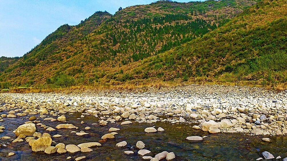 A riverbank with scattered rocks and a hillside in the background. 3