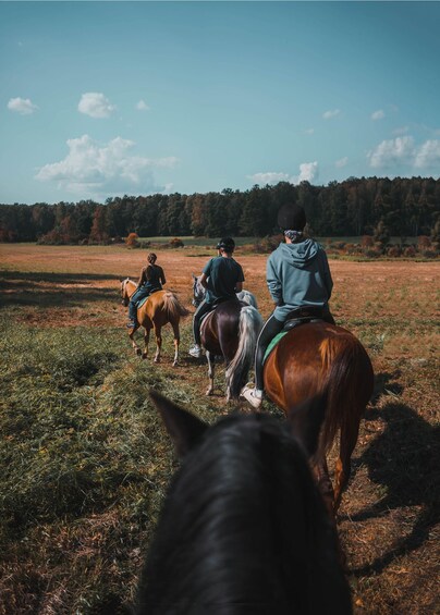 Three people riding horses in a field with trees in the background. 1