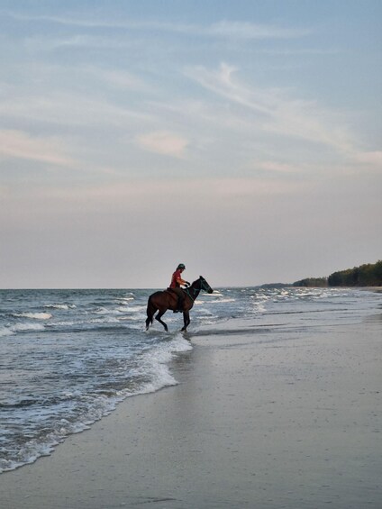 A person riding a horse along a beach with waves approaching the shore. 3
