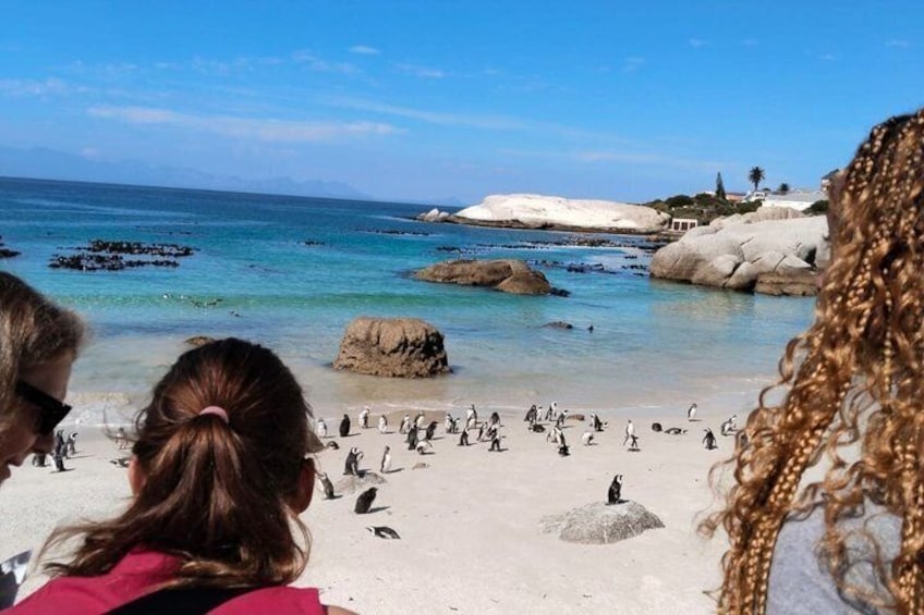 A beach with penguins, clear blue water, and rocky outcrops. 3
