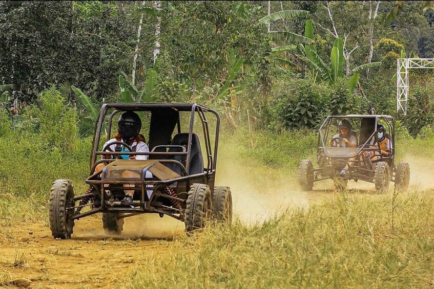 Two off-road vehicles driving through a grassy field with dense vegetation in the background. 1