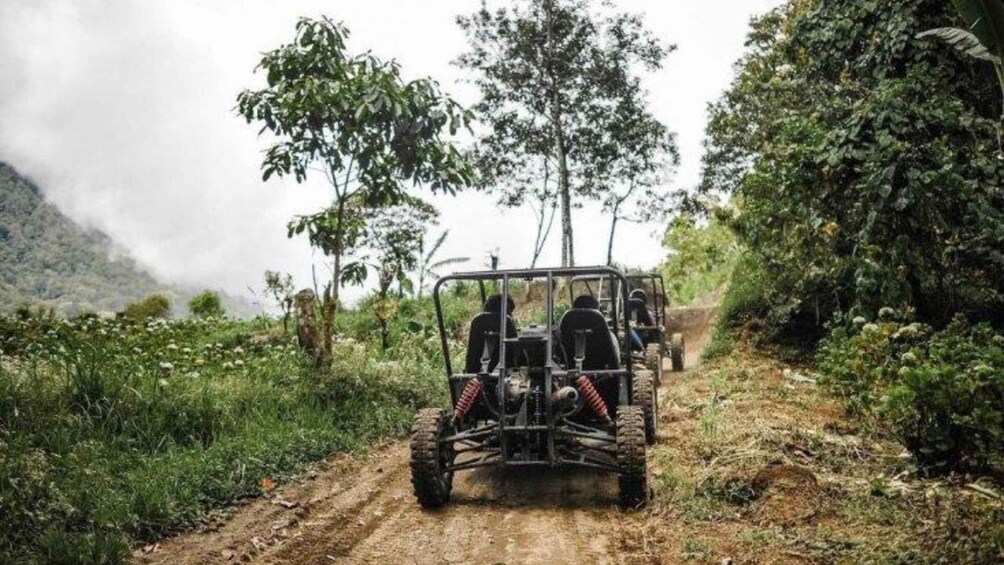 A 4x4 vehicle on a dirt road surrounded by greenery and trees. 4