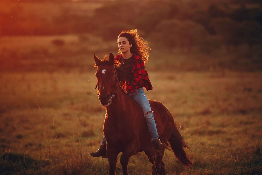 A person riding a horse in a grassy field during sunset. 5