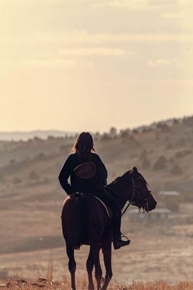 A person riding a horse in a field with a hilly landscape in the background. 1