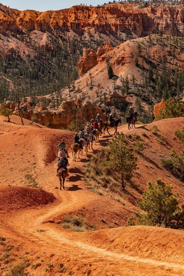 A group of people horseback riding on a dirt trail through a red rock canyon with sparse trees. 2
