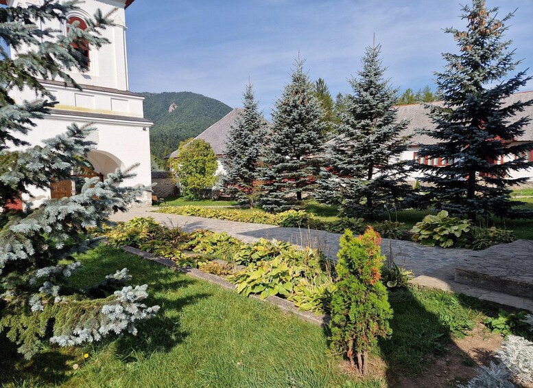 Un jardín con diversas plantas y árboles, un edificio blanco con un campanario y una montaña al fondo. 3