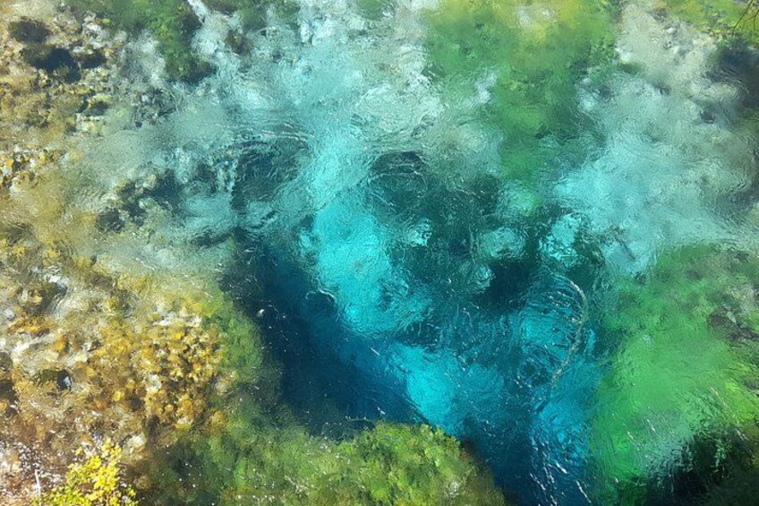 A clear underwater view of a rocky seabed with green algae and blue water. 3