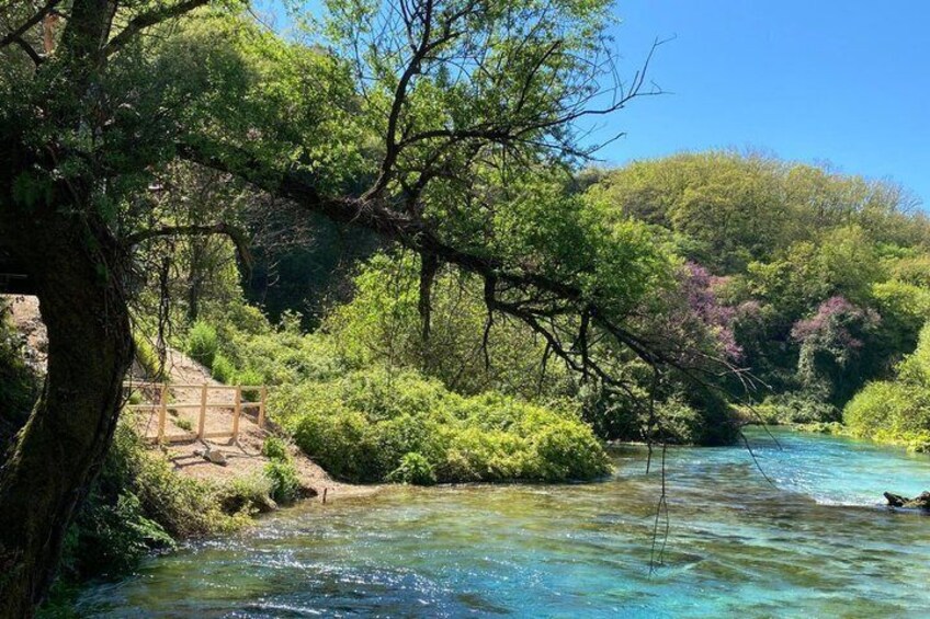 A river flowing through a forested area with a wooden bridge and a clear blue sky. 5