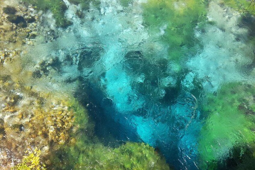 A clear underwater view of a rocky seabed with visible marine flora and fauna. 2