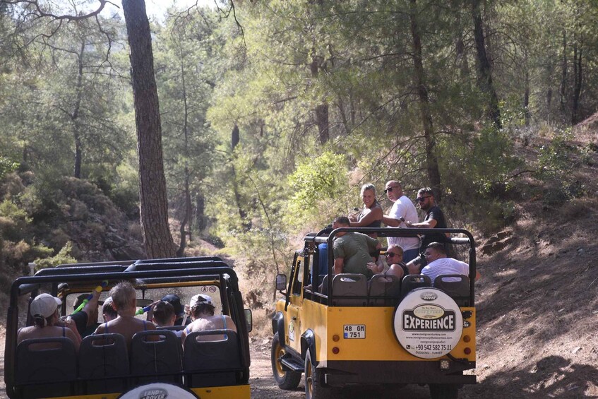A group of people in a Land Rover driving through a forested area. 3