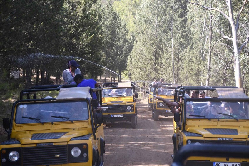 A convoy of yellow Land Rovers driving through a forested area. 4