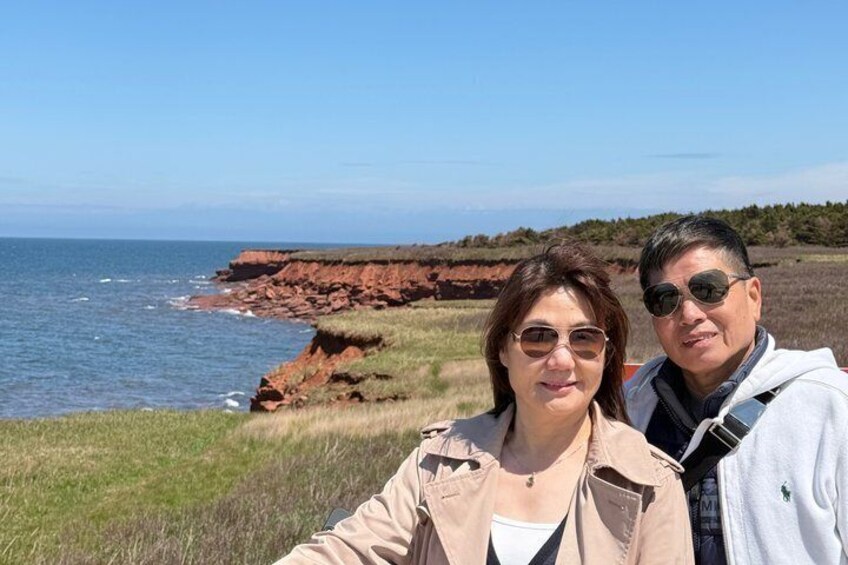 A coastal landscape with cliffs and the ocean. 4
