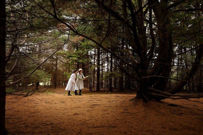 Two people in white dresses walking through a forest with tall trees and a fallen tree trunk. 5