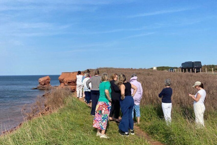A group of people standing by the sea, with red rock formations and grass in the foreground. 5