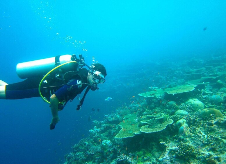 A diver exploring an underwater coral reef with various fish species. 2