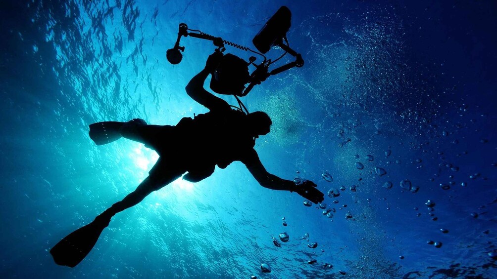 A silhouette of a diver with a scuba mask and fins, surrounded by bubbles in clear blue water. 5