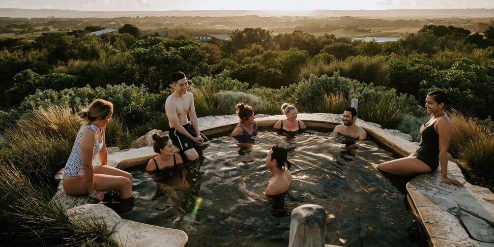 A group of people in a hot spring surrounded by lush greenery and a scenic landscape. 2