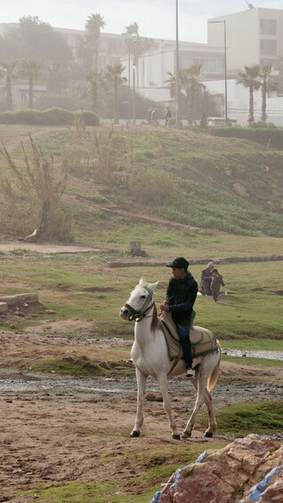 A person riding a white horse in a grassy field with a building in the background. 4