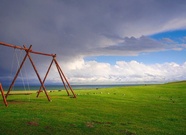 A grassy field with a wooden swing set and a distant mountain range under a cloudy sky. 3