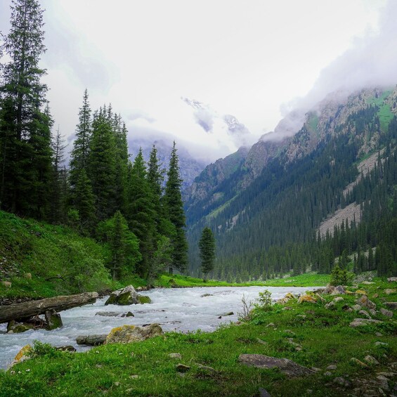 A river flowing through a forested valley with mountains in the background. 2