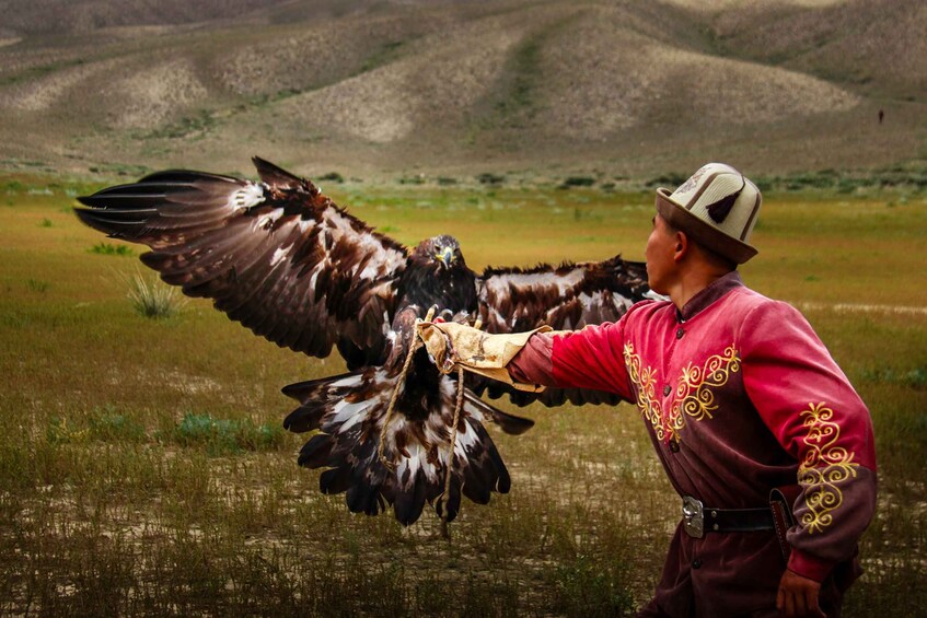 A person in traditional attire holding a large bird of prey with outstretched wings. 4