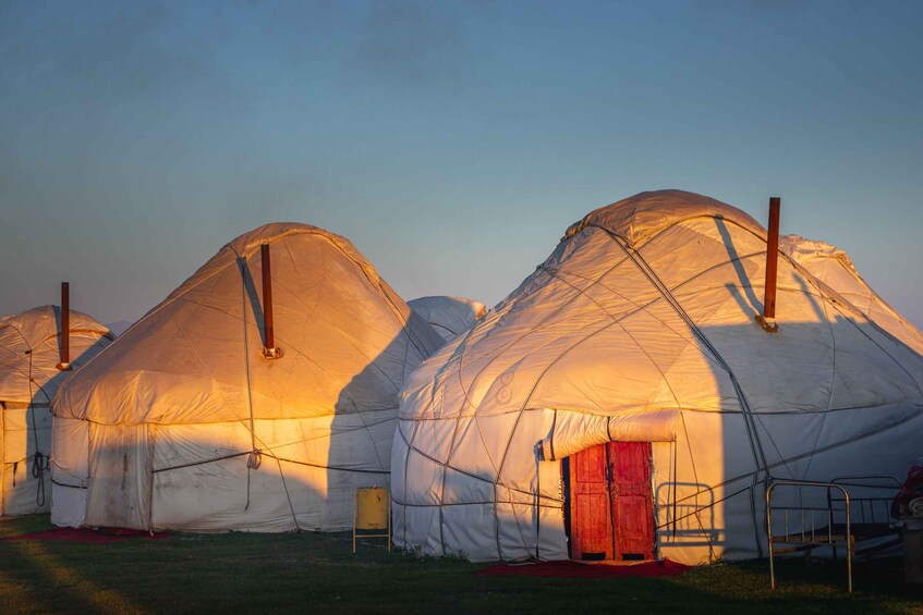 A row of white yurts with red doors, set in a grassy field under a clear sky. 5