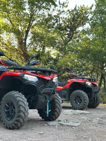 Two red ATVs parked on a dirt path with trees in the background. 2