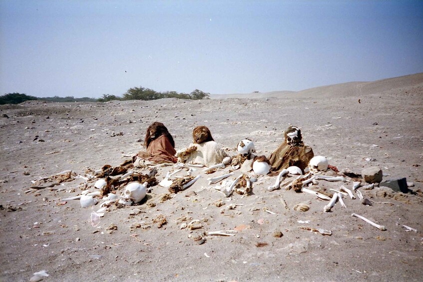 Three individuals sitting on a sandy terrain with scattered bones and skulls. 1